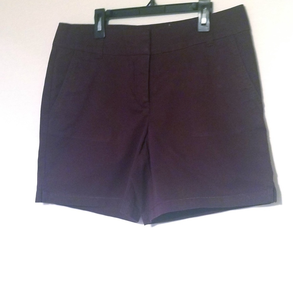 2 pair of Loft Outlet shorts